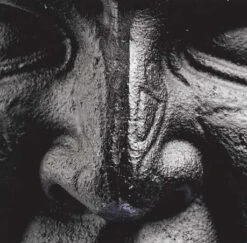 Onnit Quad Mace 7 Onnit Quad Mace -Exercise Equipment Shop 07811dc6c422334ce36a09ff5cd6fe71 5d0a754ec2a17