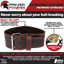 Dark Iron Fitness Power Belt 8 Dark Iron Fitness Power Belt -Exercise Equipment Shop 0efe32849d230d7f53049ddc4a4b0c60 5d0a74e9e264f 600x600 1