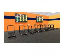 Xebex Runner 14 Xebex Runner -Exercise Equipment Shop 299a23a2291e2126b91d54f3601ec162 5d0a74fcc0ff3 600x525 1