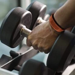 Deselen Lifting Straps -Exercise Equipment Shop 55a988dfb00a914717b3000a3374694c 5d0a757aabdfe