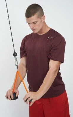 LPG Muscle Tri-Bells 4" Double Dome Tricep Rope 8 LPG Muscle Tri-Bells 4" Double Dome Tricep Rope -Exercise Equipment Shop 598920e11d1eb2a49501d59fce5ecbb7 5d0a7561830d2