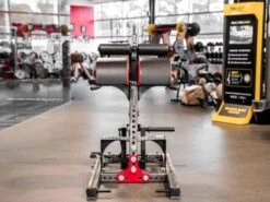 Sorinex Glute Ham Developer -Exercise Equipment Shop 66e8ba8216a1e152d72653d99a4f03ab 5d0a756aeec35 600x450 1