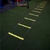 Get RXd Agility Ladder