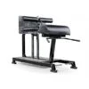EliteFTS Pro Glute Ham Raise 2 EliteFTS Pro Glute Ham Raise -Exercise Equipment Shop c2ba1bc54b239208cb37b901c0d3b363 5d0a75765cd55 600x600 1