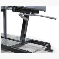 EliteFTS Pro Glute Ham Raise -Exercise Equipment Shop c2ba1bc54b239208cb37b901c0d3b363 5d0a757667cee 600x600 1