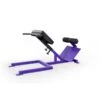 EliteFTS Scholastic 45 Degree Back Raise -Exercise Equipment Shop d6288499d0083cc34e60a077b7c4b3e1 5d0a7576cb935 600x600 1