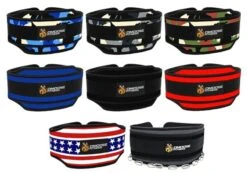 DMoose Premium Dip Belt -Exercise Equipment Shop e3251075554389fe91d17a794861d47b 5d0a751b4cd9c 600x420 1