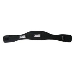 Schiek 2004 Lifting Belt -Exercise Equipment Shop fe8c15fed5f808006ce95eddb7366e35 5d0a74e70a42e 600x600 1
